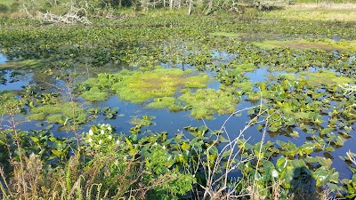 Smith Lake County Park