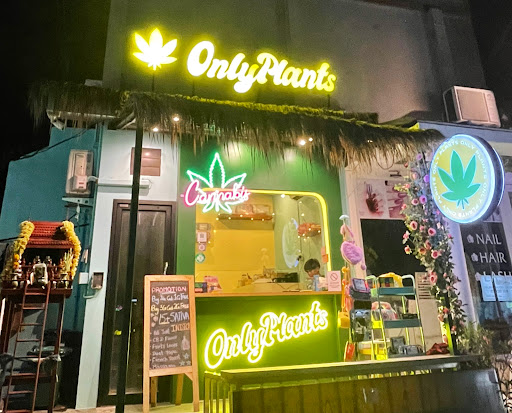 Only Plants