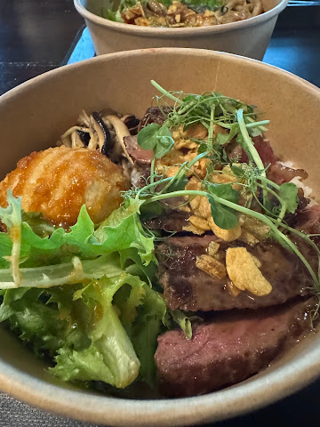 The Flying Squirrel by null