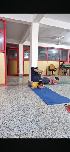 Wall technique back Yoga Stretching || Daily Live Yoga 5pm to 6pm everyday post image