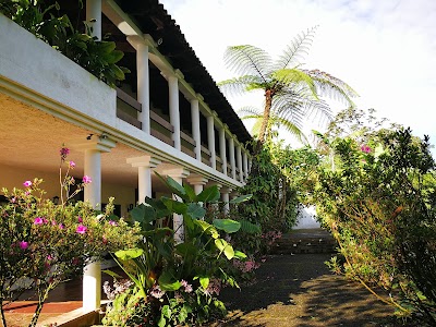 Photos of Hotel Posada Don Francisco