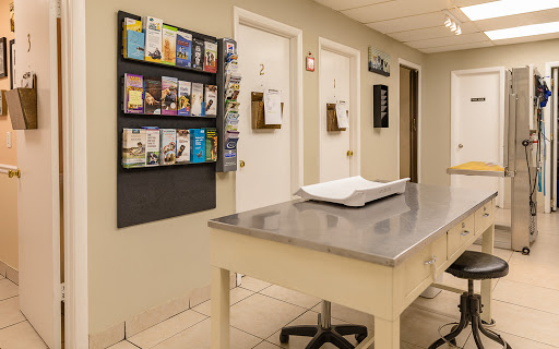 San Jose Beauclerc Animal Hospital - Thumbnail