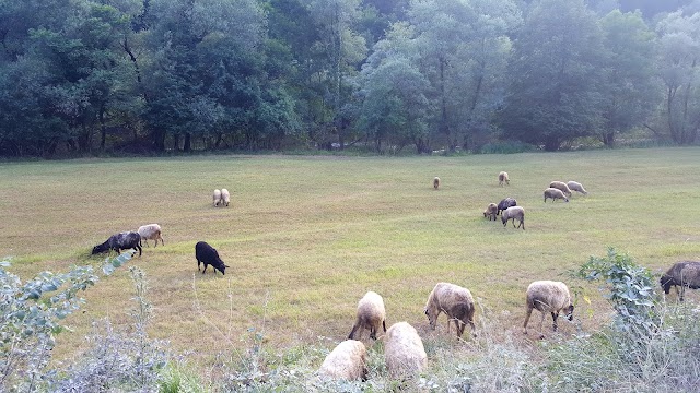 Parc national de l'Una