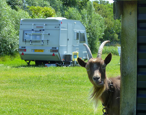 Camping en Kanoverhuur de Gouw - Thumbnail