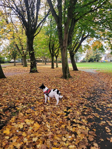 Lane Head Recreation Ground - Thumbnail
