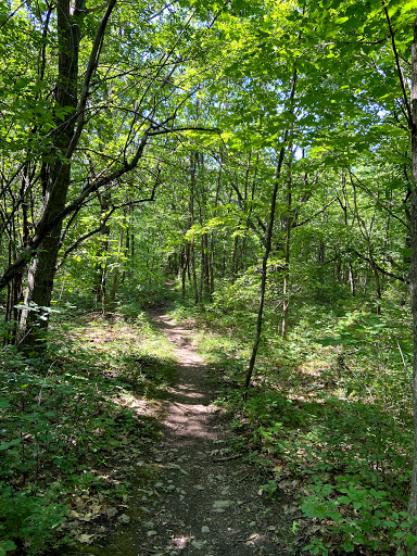 High Point (Thacher Park) - Thumbnail