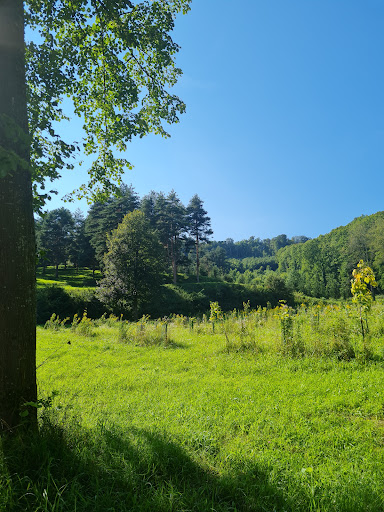 Forstliches Arboretum Liliental Gallery - Germany