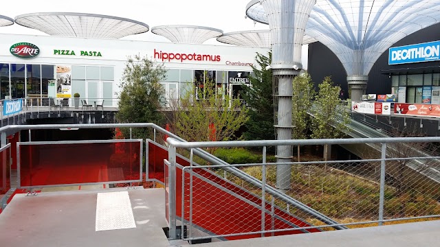 Hippopotamus