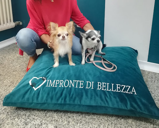 Impronte di Bellezza di Davide Porro - Thumbnail