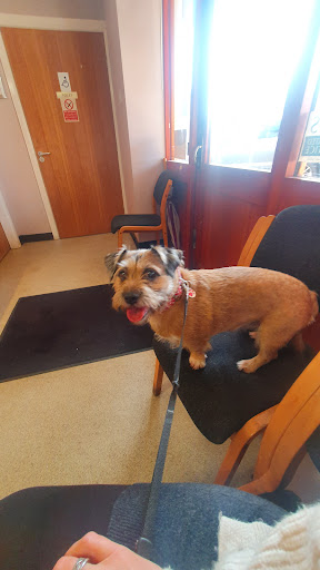 Galtres Veterinary Surgery - Thumbnail