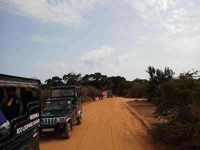 Photos of Sri Lankan Safest Driver (Tour Operator)