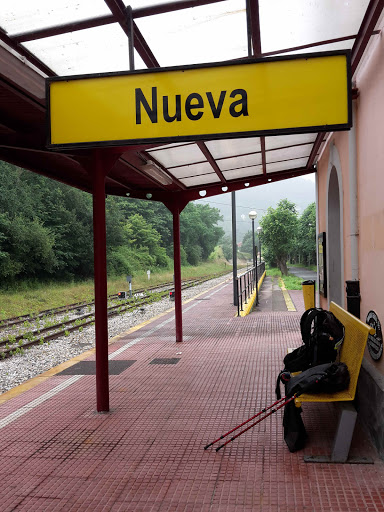 Nueva - Visual