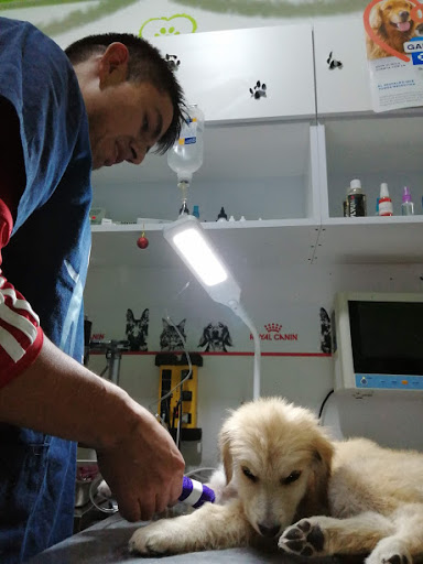 Clínica Veterinaria Mazteck