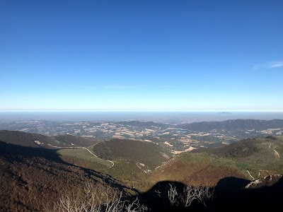 Monte Faldobono