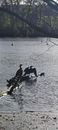 Wanderparkplatz Abtskücher Teich Gallery - Germany