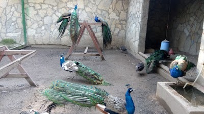 SÜMER PARK. Zoo