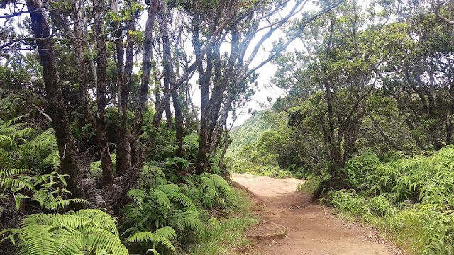 Waimea Canyon Lookout