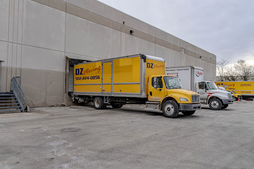 DZ Moving - Visual