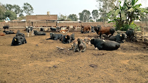 Hacienda Gentileza 3