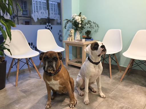 Centro Veterinario Nos