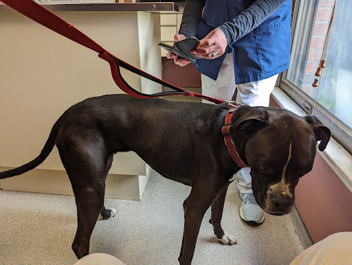 Huesing Veterinary Clinic - Thumbnail