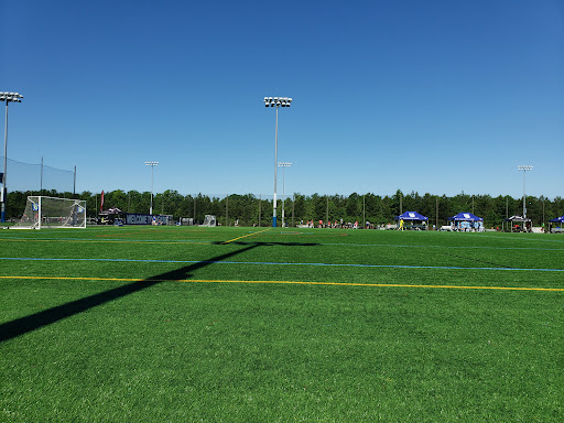 River City Field 6 - Thumbnail