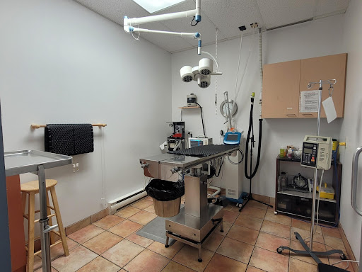 Hôpital Vétérinaire St-Eustache / Deux-Montagnes - Vet et Nous - Thumbnail