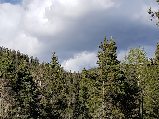 Agua Piedra Campground - Thumbnail