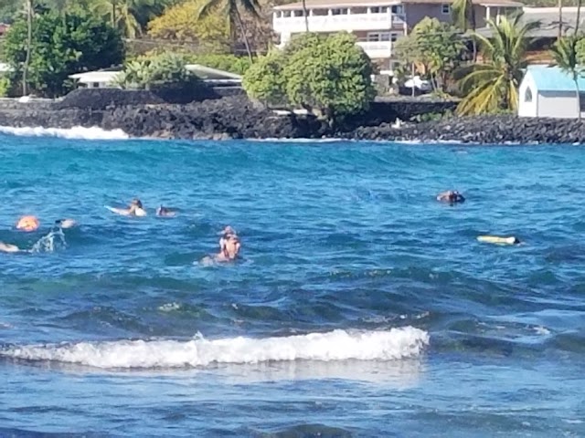 Kahaluu Beach Park