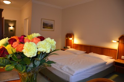 Photos of Hotel Haus am Park | Bad Homburg
