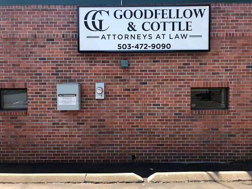 Goodfellow Law - Visual