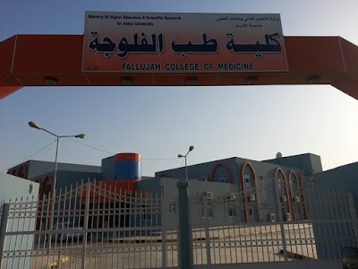 university