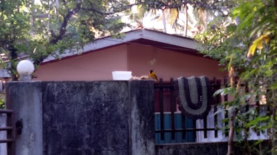 Photos of Sandasiri Super Grossary