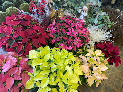 The Plant Shoppe - Thumbnail