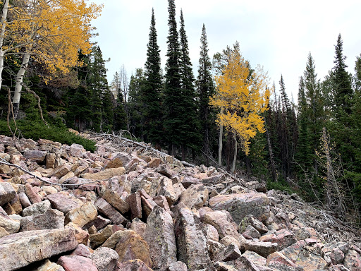 Bridger Peak Trailhead - Thumbnail