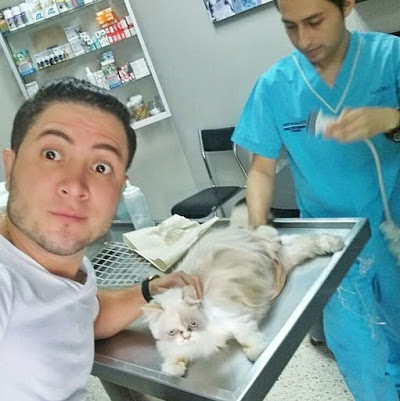 Photos of Pets Salud Veterinario