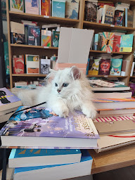 Photo n°28 de Les p'tits livres de Manon à Gières (Librairie)