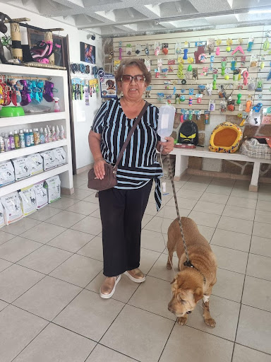 Petlove Silver Can