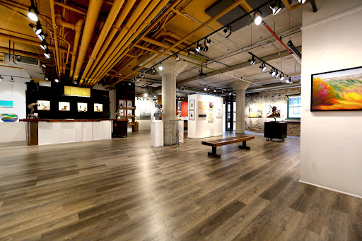 Arta Gallery - Visual