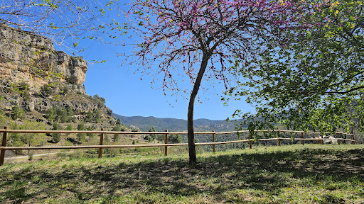 Passeig de Vallibona - Thumbnail