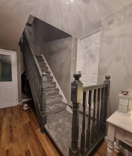Rex Decor - Visual