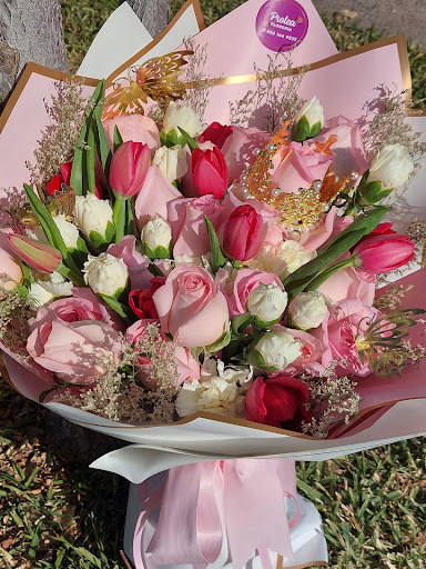 Protea Florería - Visual