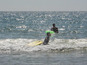 Photo n°30 de Camping La Grisse à Le Givre (Terrain de camping)