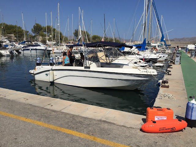 Adventure Sports Skualo Alcudia