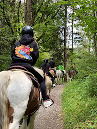 Photo n°31 de Ranch des Portes du Soleil à Saint-Jean-d'Aulps (Centre de randonnée équestre)