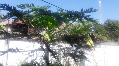 Photos of Nakarath Travel