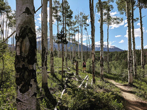 White River National Forest Trail access Logo