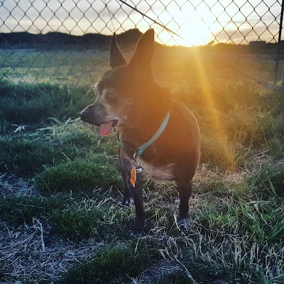 Del Norte Dog Park