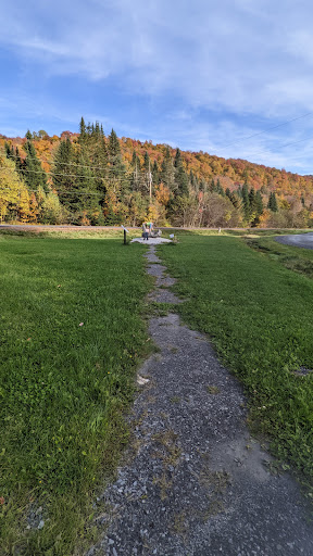 Fish Hatchery - Visual