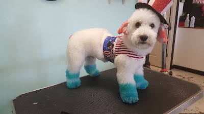 SPAW Pet Grooming & Boutique